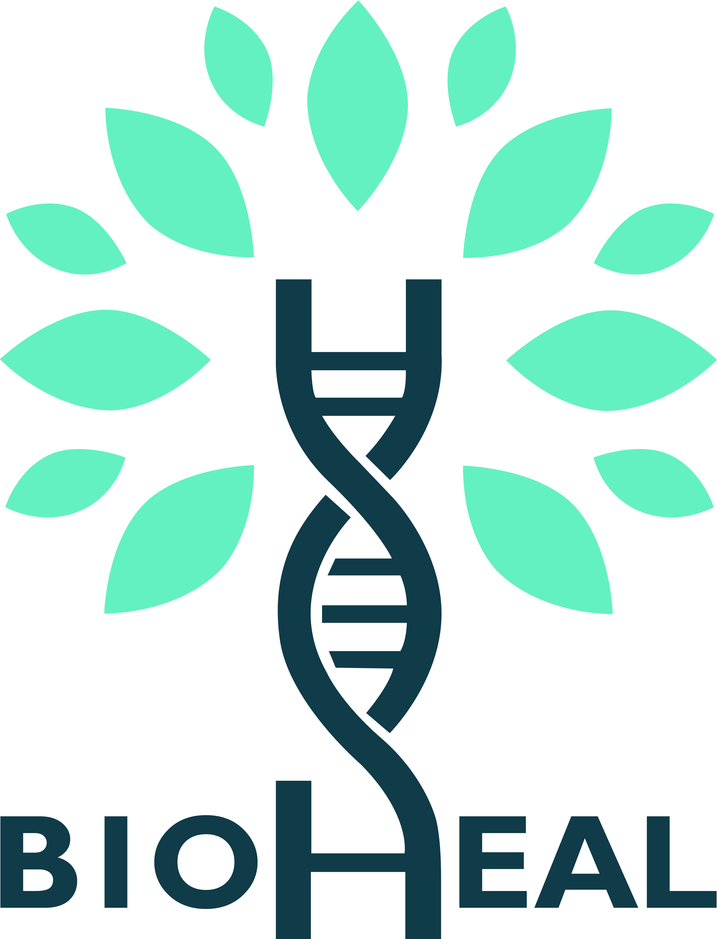 Logo-bioheal_2